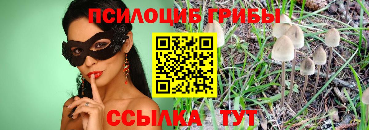 Дальнереченск  закладка  Вход с VPN  Псилоцибиновые грибы MAGIC MUSHROOMS  Галлюциногенные грибы Psilocybine cubensis 